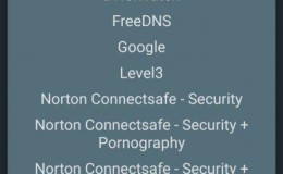 好玩!通过公共DNS提升Google访问速度!