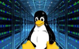 小技巧!502 Bad Gateway 自动重启脚本