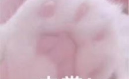 宝塔关闭TLSv1的方法