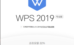 WPS Office 2019 XX专业版