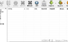 Internet Download Manager IDM v6.33 Build 3 中文完美绿色版