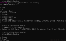 视频完美切片存储方案 附自动化处理脚本