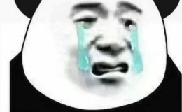 说一说近期发生的一些事...日常水一下~